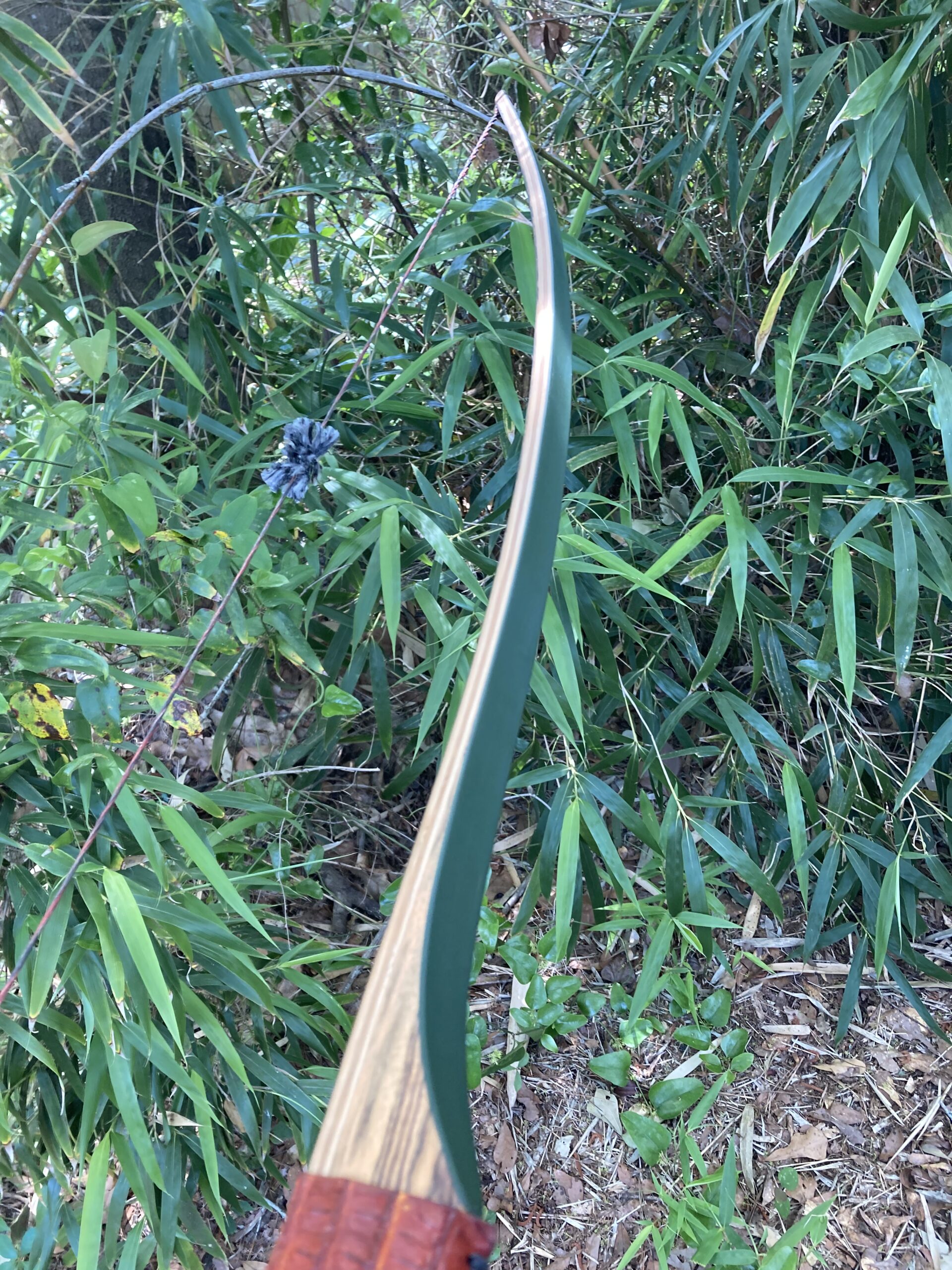 Gator II - Bow - Reservation - Image 2